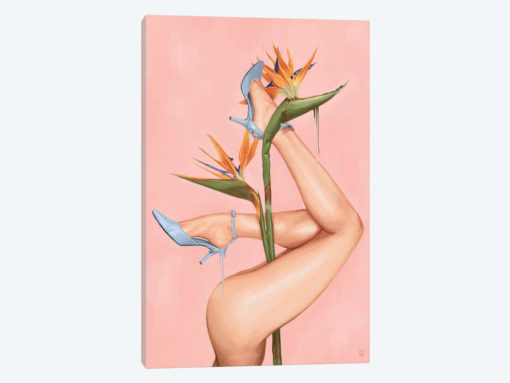 Bird Of Paradise