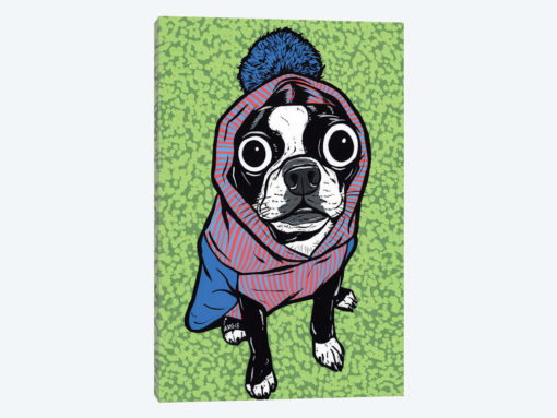 Boston Terrier Pom Sweater