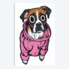 Boxer Hoodie