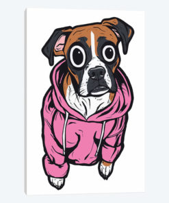 Boxer Hoodie