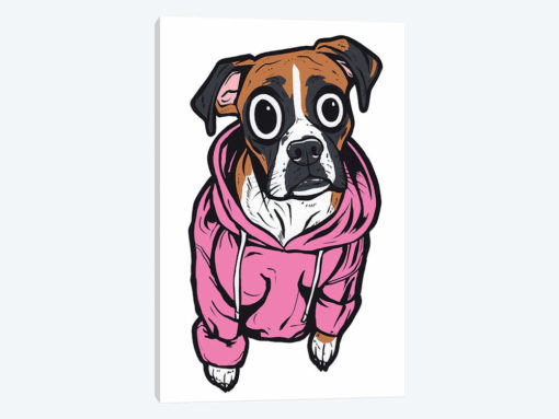 Boxer Hoodie
