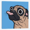Pug Tongue