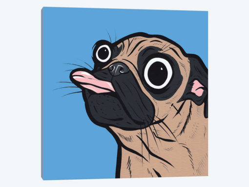 Pug Tongue