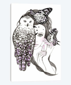 Night Owl