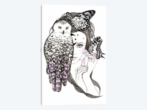 Night Owl