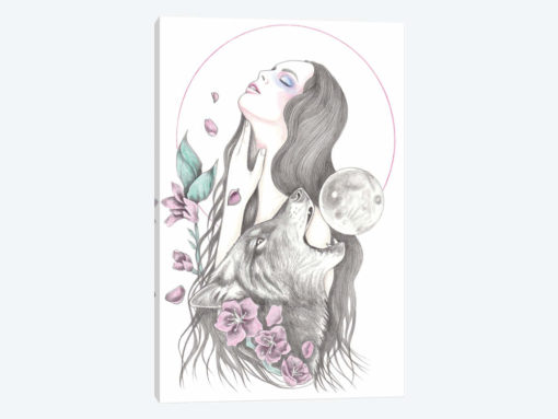 Sun Moon