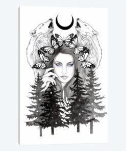 Wilderness