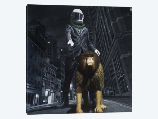 New World Monkey