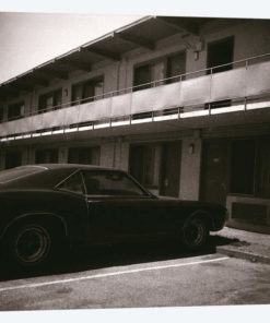 Motel Life
