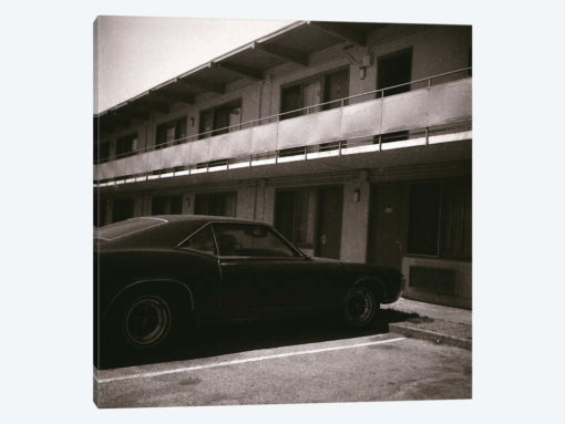 Motel Life