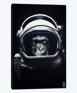 Starship Trooper