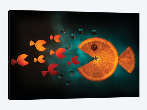 Orange Fish