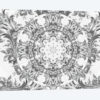Ornate Musings I