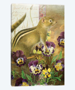 Chipmunk