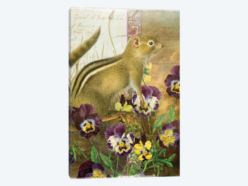 Chipmunk