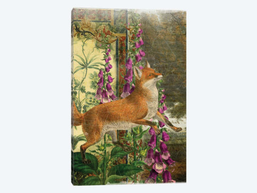 Fox