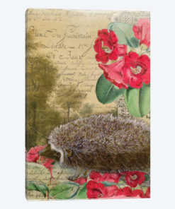 Hedgehog