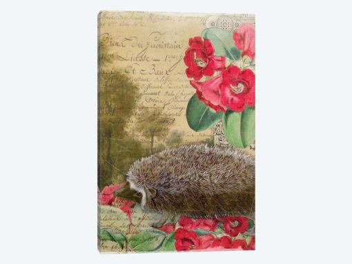 Hedgehog