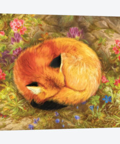 The Cozy Fox