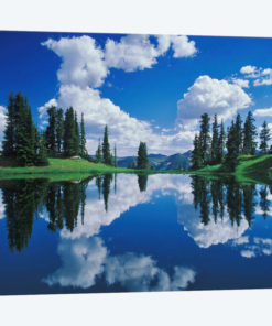 Forest Landscape And Its Reflection, Gunnison National Forest, Colorado, USA