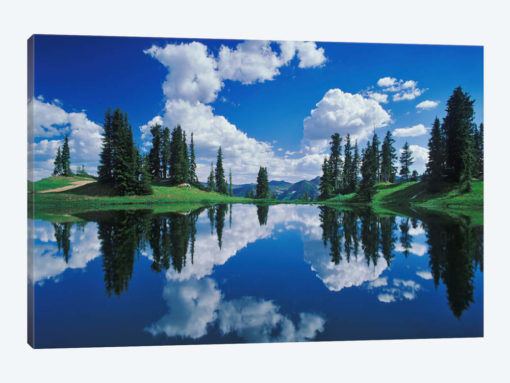 Forest Landscape And Its Reflection, Gunnison National Forest, Colorado, USA