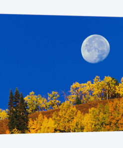 Autumn Moon At Sunrise, Gunnison National Forest, Colorado, USA
