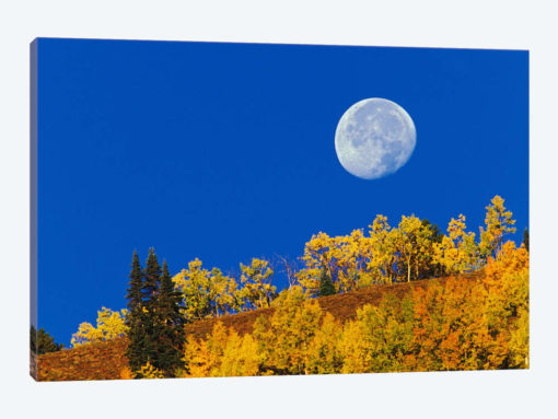 Autumn Moon At Sunrise, Gunnison National Forest, Colorado, USA