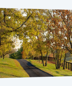 Rural Autumn Landscape I, Bluegrass Region, Kentucky, USA