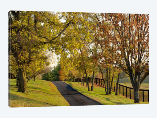 Rural Autumn Landscape I, Bluegrass Region, Kentucky, USA