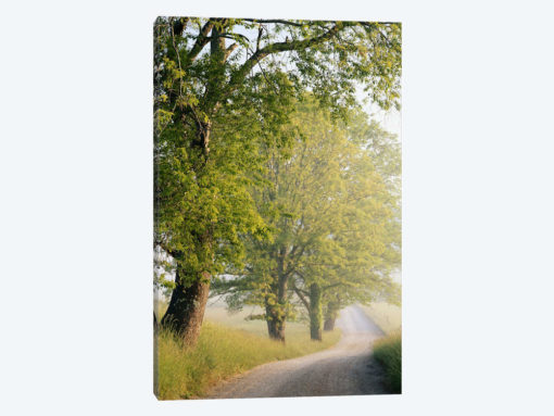 Hyatt Lane, Cades Cove, Great Smoky Mountains National Park, Tennessee, USA