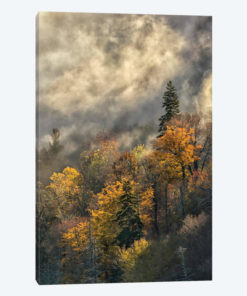 Autumn Colors And Mist At Sunrise, Blue Ridge Mountains At Sunrise, North Carolina