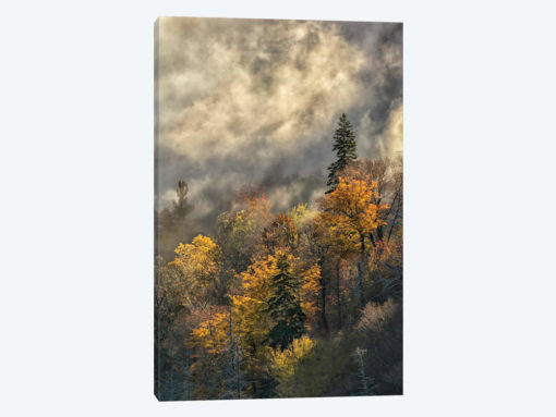 Autumn Colors And Mist At Sunrise, Blue Ridge Mountains At Sunrise, North Carolina