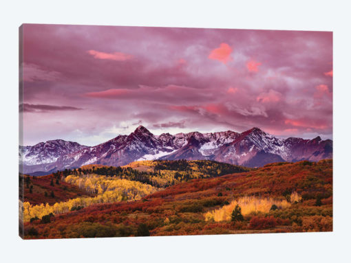 Autumn, Aspen Trees And Sneffels Range At Sunset, Mount Sneffels Wilderness. Colorado