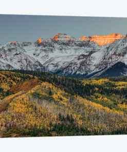 Autumn, Aspen Trees and Sneffels Range, Uncompahgre National Forest, Colorado I