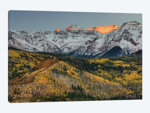 Autumn, Aspen Trees and Sneffels Range, Uncompahgre National Forest, Colorado I