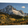 Autumn, Aspen Trees And Sneffels Range, Uncompahgre National Forest, Colorado II