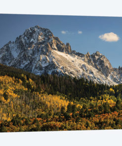 Autumn, Aspen Trees And Sneffels Range, Uncompahgre National Forest, Colorado II