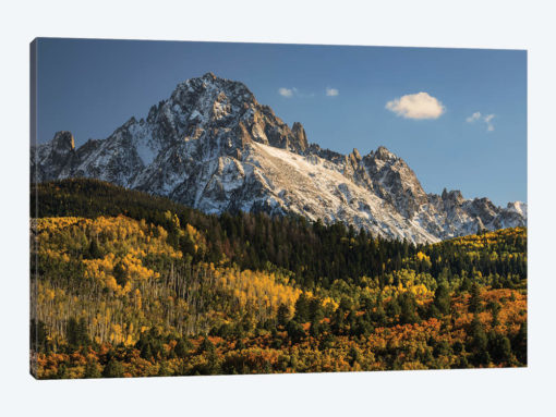 Autumn, Aspen Trees And Sneffels Range, Uncompahgre National Forest, Colorado II
