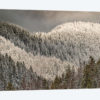 Snow-covered trees on mountain.