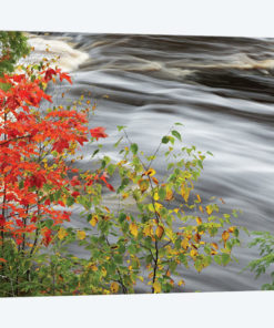 Tahquamenon Falls, Tahquamenon Falls State Park, Michigan