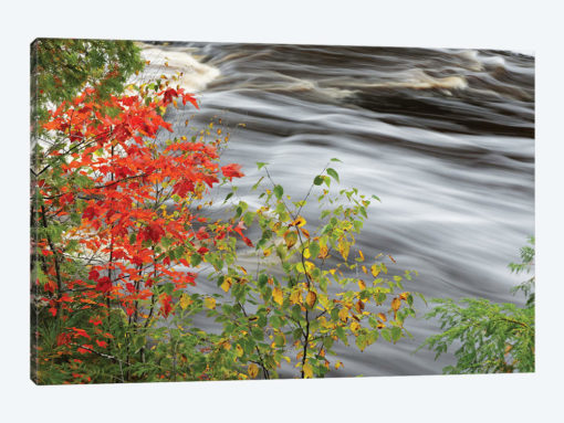 Tahquamenon Falls, Tahquamenon Falls State Park, Michigan