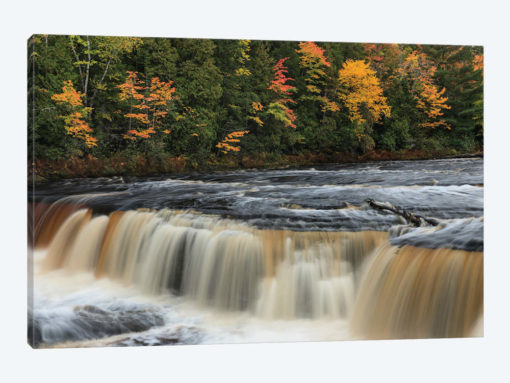 Tahquamenon Falls, Tahquamenon Falls State Park, Whitefish, Michigan I