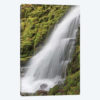 White Branch Falls, Oregon Cascades, Oregon I