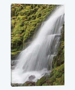 White Branch Falls, Oregon Cascades, Oregon I