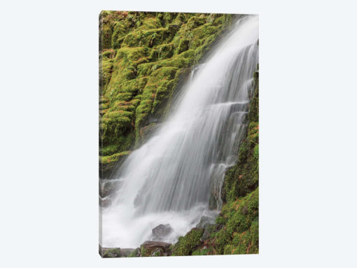 White Branch Falls, Oregon Cascades, Oregon I