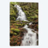 White Branch Falls, Oregon Cascades, Oregon II