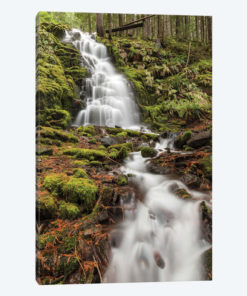 White Branch Falls, Oregon Cascades, Oregon II
