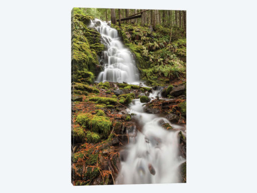 White Branch Falls, Oregon Cascades, Oregon II