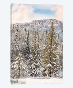 Winter mountain scene, Montana
