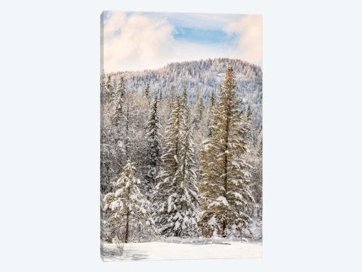 Winter mountain scene, Montana
